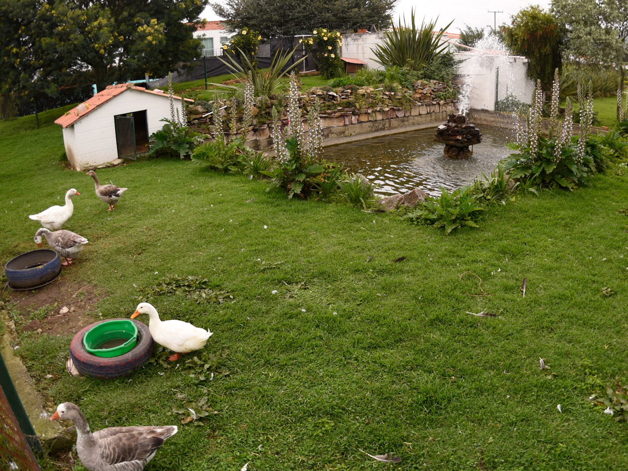 Zonas-comunes-Casas-Las-Acacias-Zipaquira-Constructora-RMG