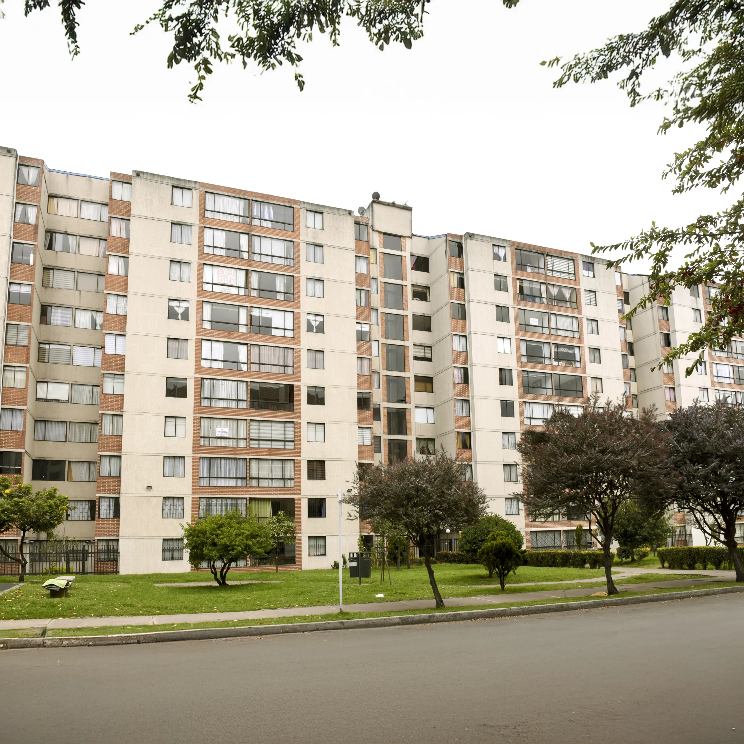 ED ARBOLEDA PRIMAVERA (1)